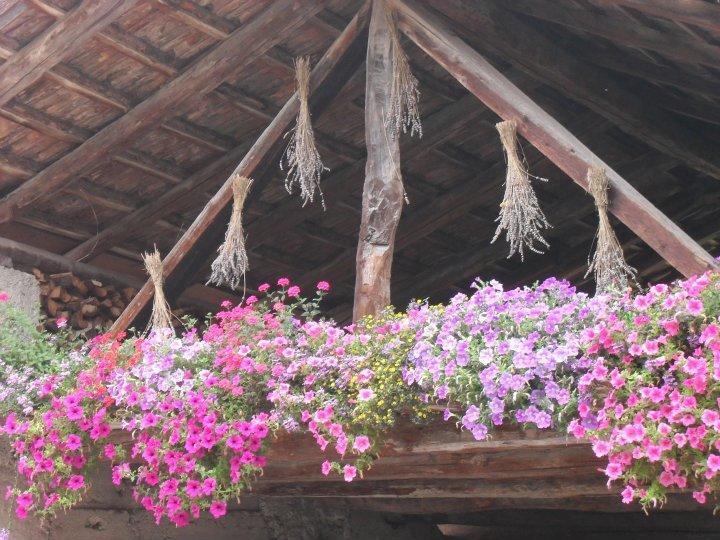 טרנטו B&B Casa Brunelli מראה חיצוני תמונה